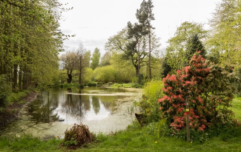 The Lovell Quinta Arboretum, United Kingdom